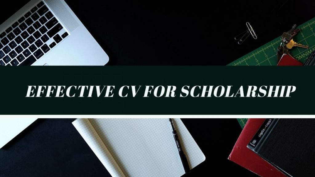 Effective CV for Scholarship